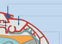 The sealing lip, the rain channel