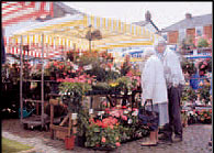 Market Umbrellas